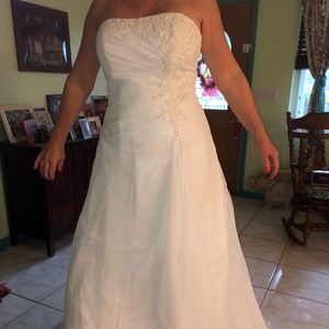 Wedding dress / veil